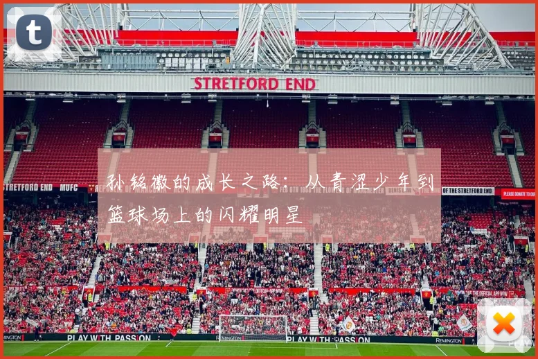 孙铭徽的成长之路：从青涩少年到篮球场上的闪耀明星