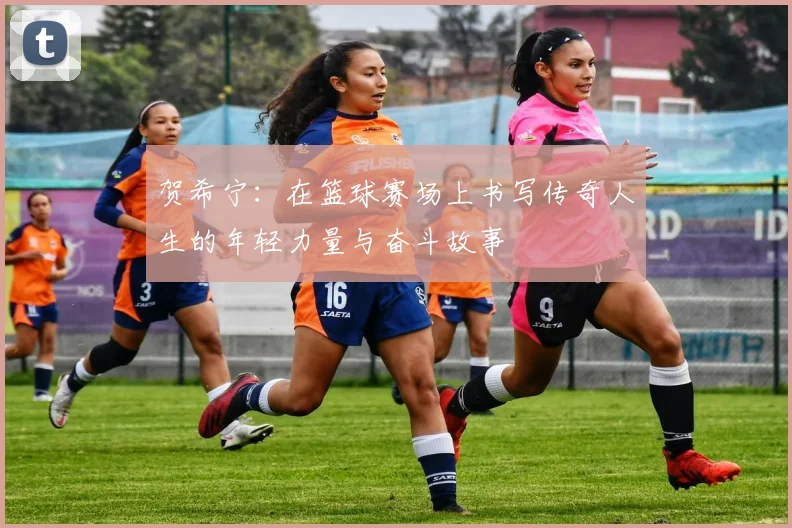 贺希宁：在篮球赛场上书写传奇人生的年轻力量与奋斗故事